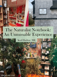 The Naturalist Notebook: An Unmissable Experience